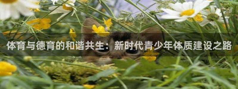k1体育链接
