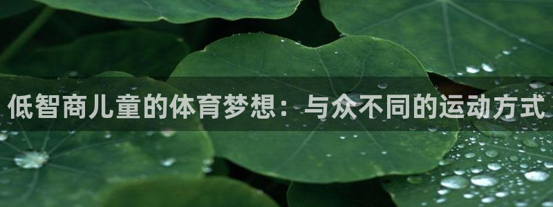 k1体育app下载链接