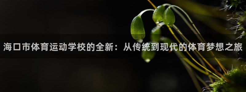 k1体育娱乐