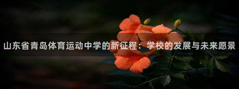 k1体育app下载
