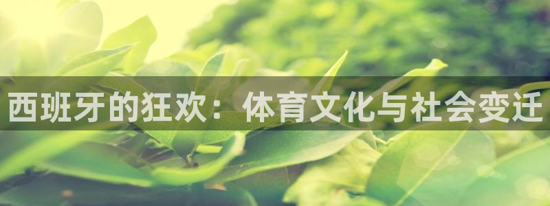 k1体育网站登录官网