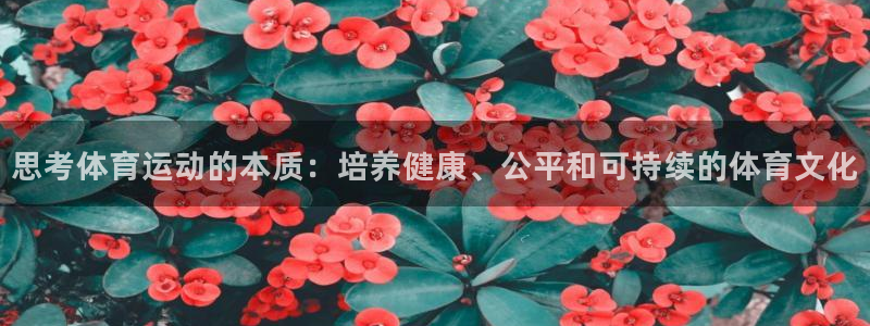 k1体育平台下载