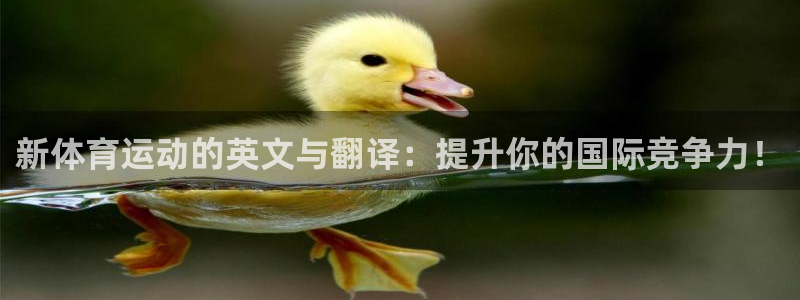 k1体育娱乐