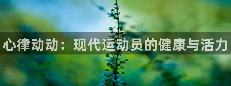 k1体育棋牌网址